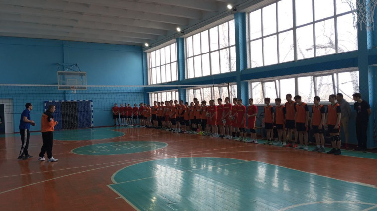 Спартакиада школьников по волейболу.
